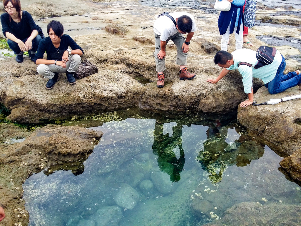 sea water pool, enoshima